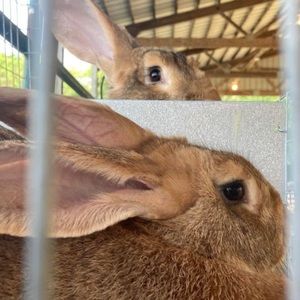 Meet your Posher, Janette